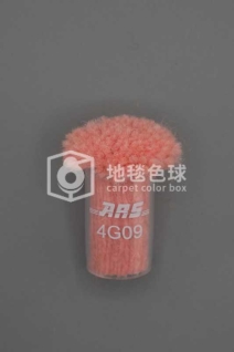 ARS 4G09