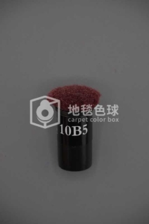 10B5