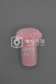 ARS 4G19
