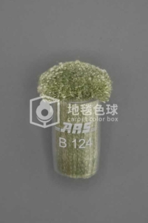 ARS B124