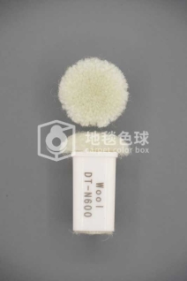 DT N600