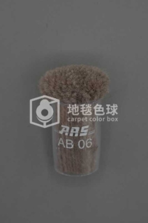 ARS AB06