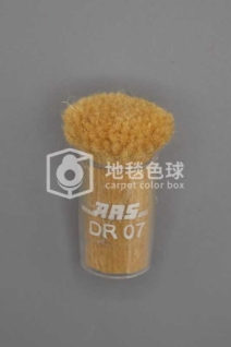 ARS DR07