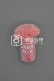 ARS 5G09