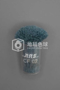 ARS CF02