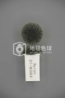 DT N1384