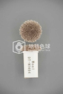 DT N1494
