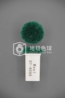 DT N589