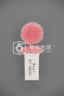 DT N884