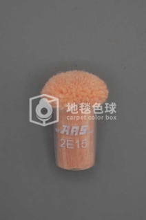 ARS 2E15