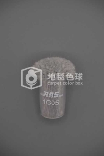 ARS 1G05