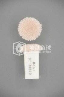DT N1570