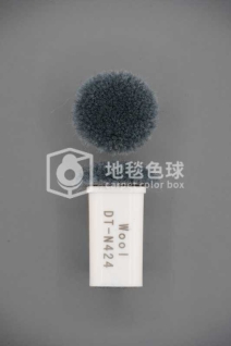 DT N424