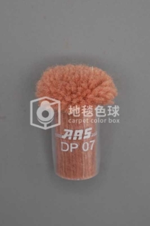 ARS DP07