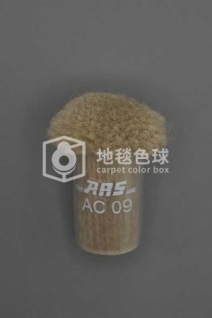 ARS AC09