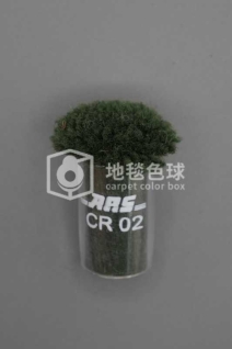 ARS CR02