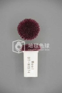 DT N1574