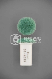 DT N595