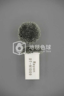 DT N1009