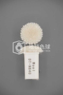 DT N840