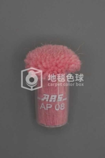 ARS AP08