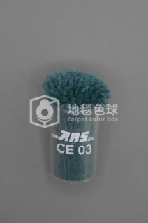 ARS CE03