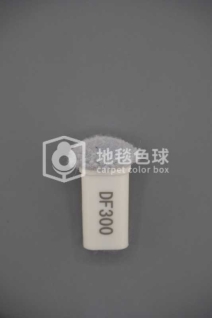 DF300