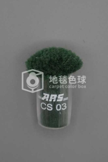 ARS CS03