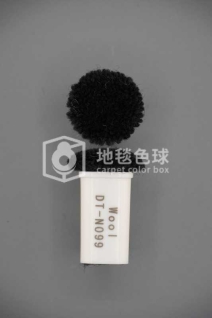 DT N099