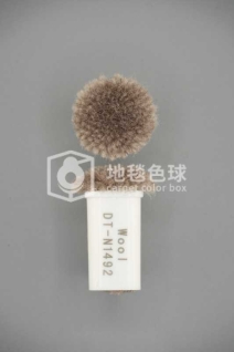 DT N1492