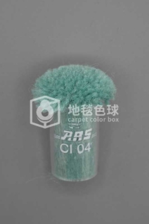 ARS CI04