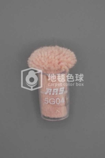 ARS 5G04