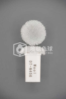 DT N456