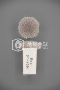 DT N091
