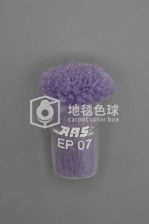 ARS EP07