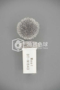 DT N1543