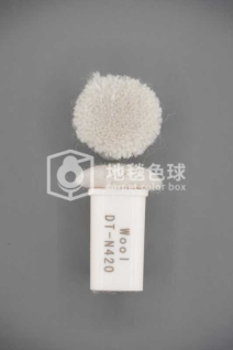 DT N420
