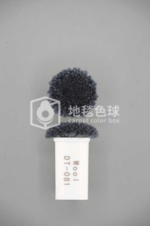 DT 081