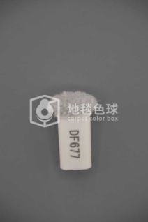 DF677