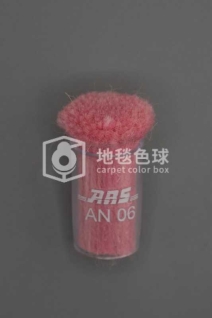 ARS AN06