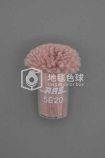 ARS 5E20