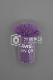 ARS EN06