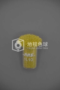 ARS 1L10