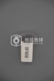 DF608
