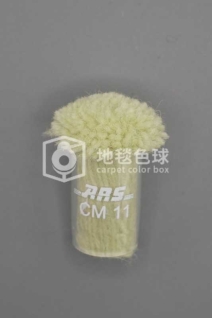 ARS CM11