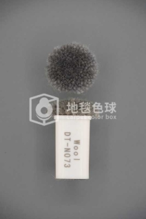 DT N073