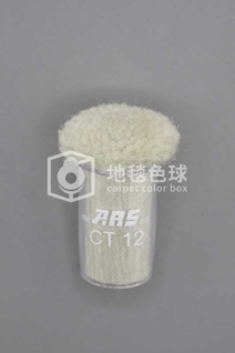 ARS CT12