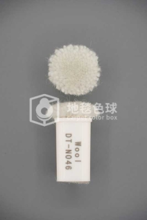 DT N046