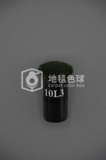 10L3