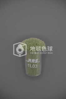 ARS 1L03